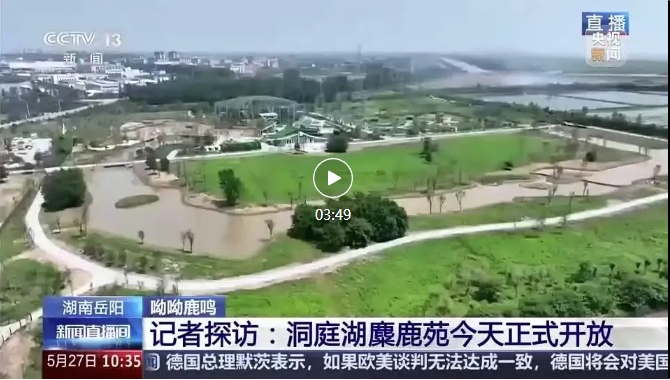 央視報道 | 易大設(shè)計EPC項(xiàng)目-湖南東洞庭湖麋鹿和鳥類救助避難中心正式開園